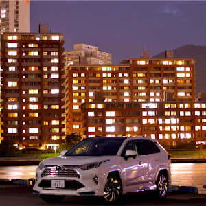 RAV4 AXAH54