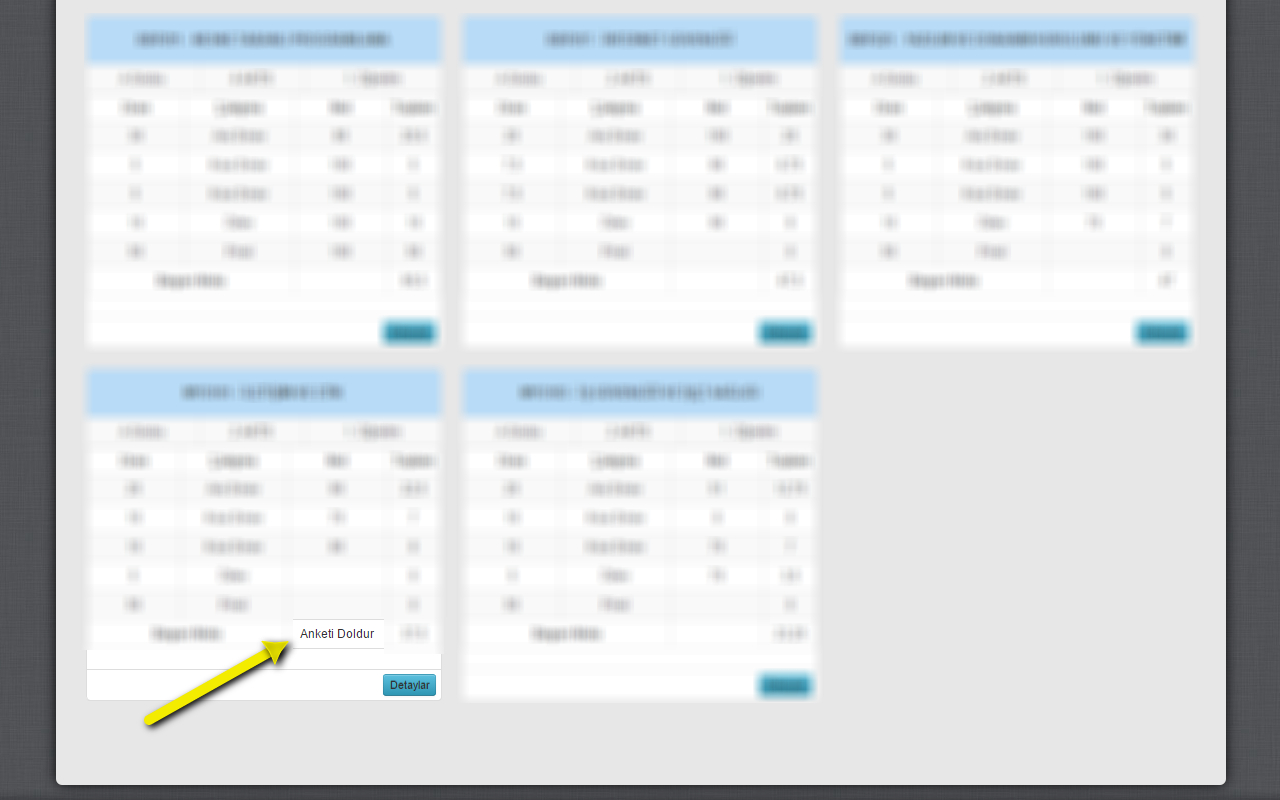 Sabis Anket Doldurucu Preview image 4