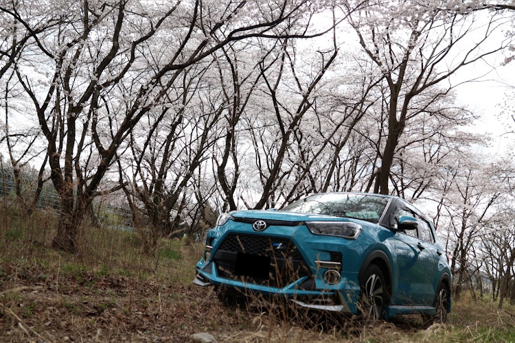 ライズの写活・桜コラボ・春・ドライブに関するカスタム事例の投稿画像1枚目