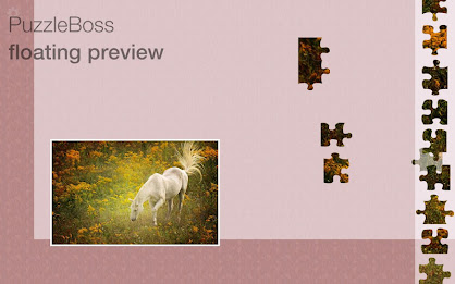 Jigsaw Puzzles: Canyons poster 5