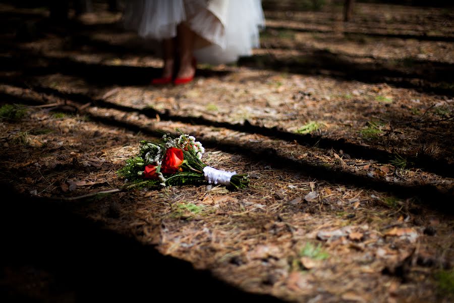 Photographe de mariage Aleksandr Zavarzin (zavarzin1987). Photo du 26 juin 2017