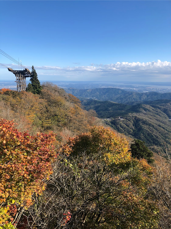 の投稿画像2枚目