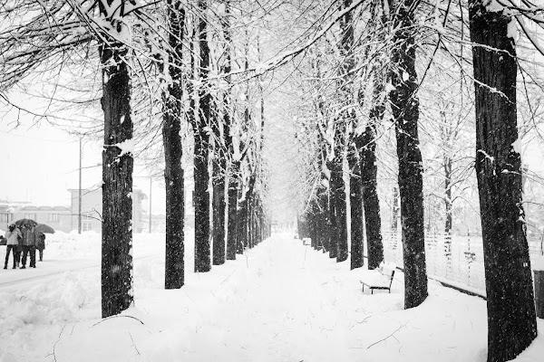 Passeggiare nella neve di utente cancellato