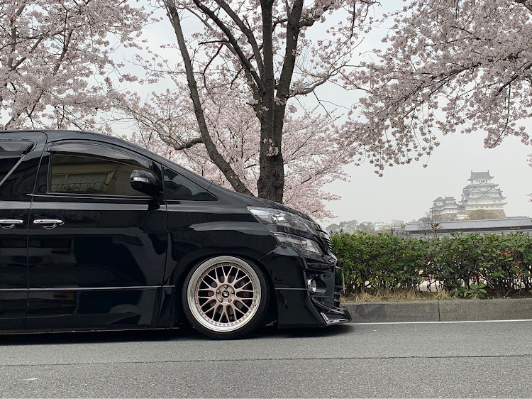 ヴェルファイアのiPhoneクオリティ・20ヴェルファイア後期・桜とコラボ・桜と愛車に関するカスタム事例の投稿画像2枚目