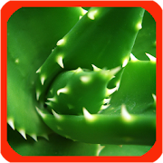 Home Remedies 0.0.2 Icon