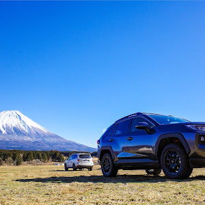 RAV4 MXAA54