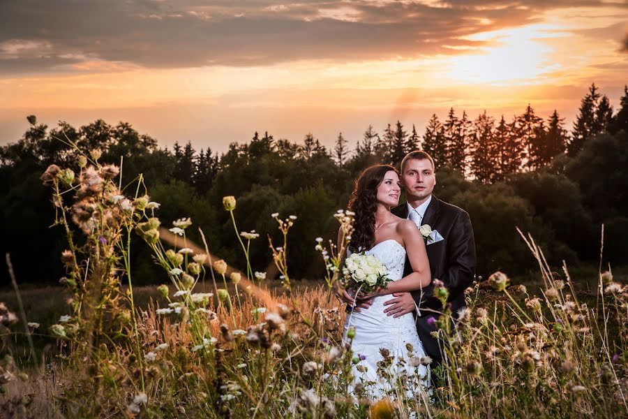 Bryllupsfotograf Pavel Zahálka (zahlka). Bilde av 28 juli 2016