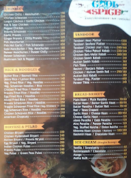 Cool N Spice menu 4