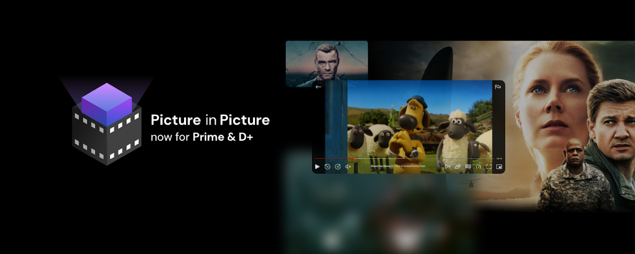 Netflix Picture in Picture now for Prime & D+ Preview image 2