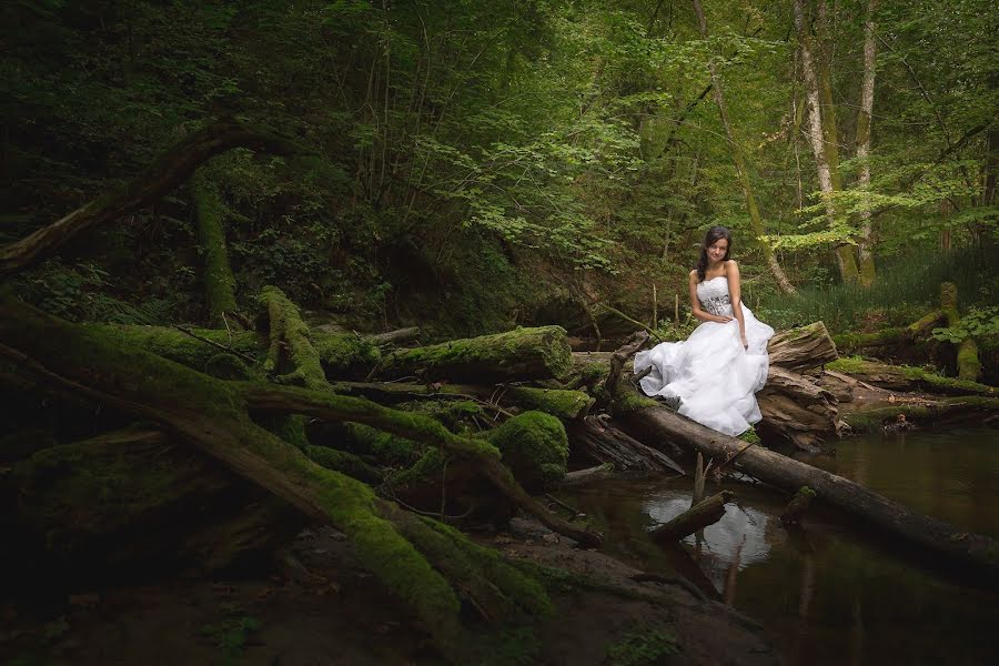 Wedding photographer Uldis Lapins (uldislapins). Photo of 1 February 2017