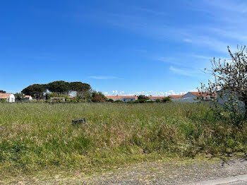 terrain à Saint-Pierre-d'Oléron (17)