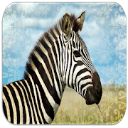 Zebra Sounds  Icon