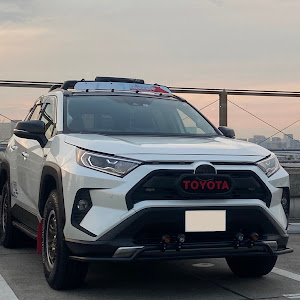 RAV4 AXAH54