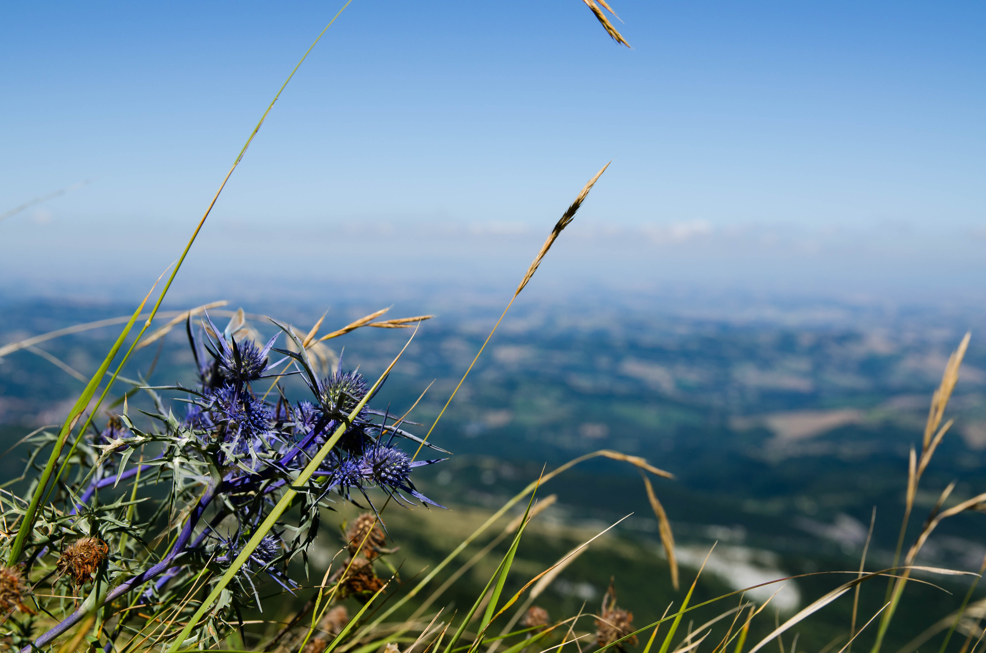 passeggiata nella marche di claudio_catanoso