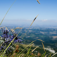 passeggiata nella marche di 