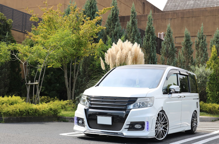 ステップワゴンのステップワゴンスパーダ・車好き女子・うちのワンコ・枠内駐車に関するカスタム事例の投稿画像1枚目