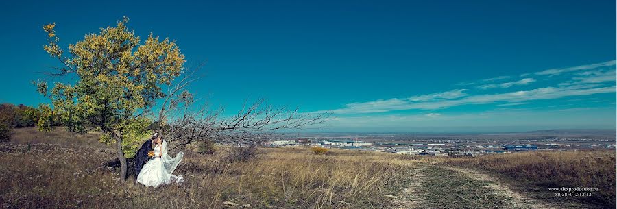 Весільний фотограф Натали Пожаренко (natamon). Фотографія від 25 березня 2014