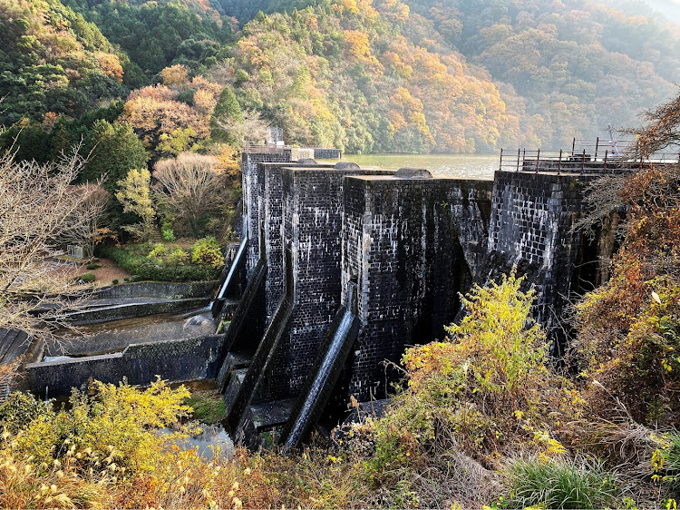 の投稿画像3枚目