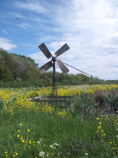 The Little Windmill