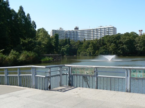 Real Life Locations of GTO you Need to Visit - Inokashira park