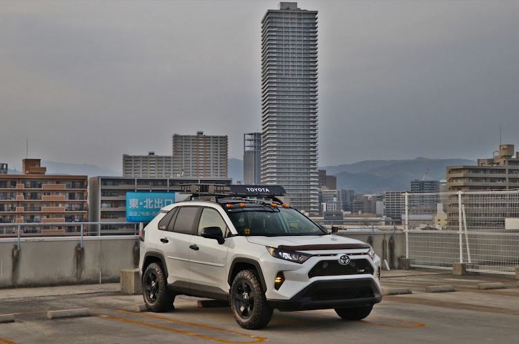 RAV4のバックシャンな愛車・朝からカメ活📷・ピックアップは狙いません！・2月もよろしくお願いします・カメラ修行中📸に関するカスタム事例の投稿画像3枚目