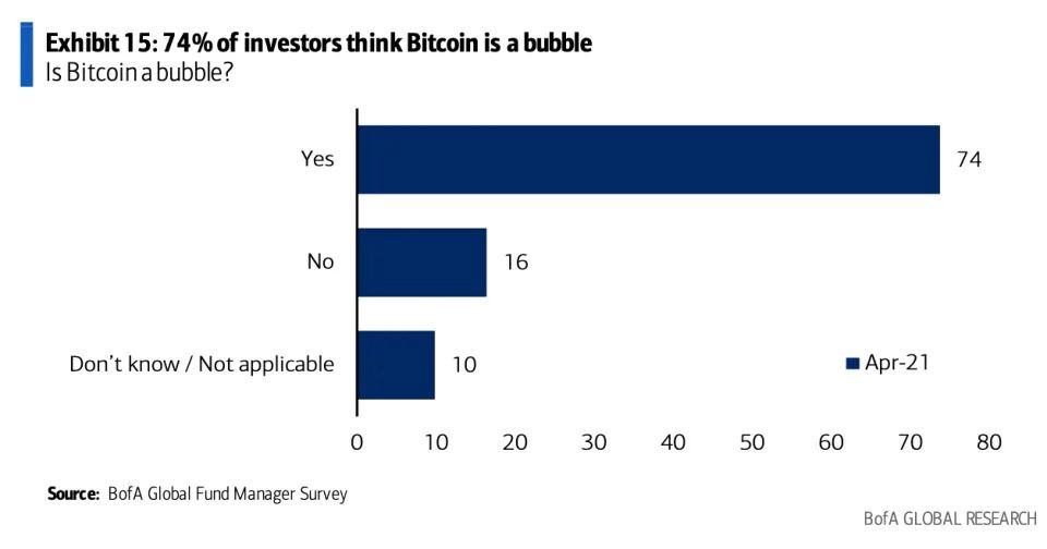 74% of Investors Thinks BTC as a Bubble