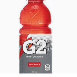 G2® Fruit Punch Sports Drink