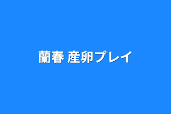 蘭春  産卵プレイ