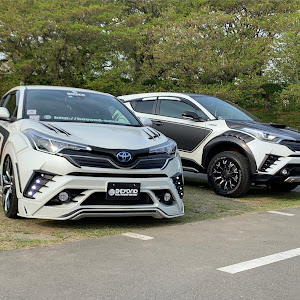 C-HR NGX50