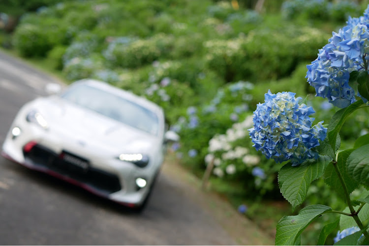 86のコロナウイルスに負けるな・紫陽花・愛車撮影・見帰りの滝・コラボに関するカスタム事例の投稿画像3枚目