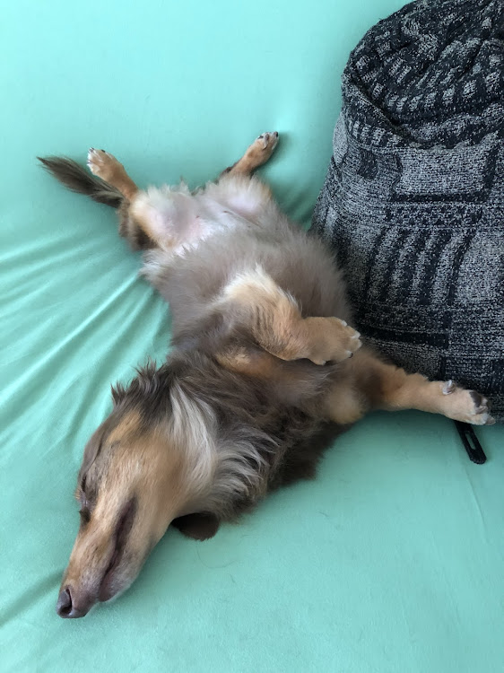 ヴォクシーのZ.T.A.全国オフ・らいむチャン・くまサン・(( _ _ ))..zzzZZに関するカスタム事例の投稿画像2枚目