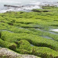 綠石槽漁夫海鮮餐廳