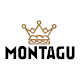 MONTAGU Download on Windows