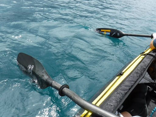ステップワゴン Rf2の本栖湖 アウトドア カヤック 御坂みち 奥多摩に関するカスタム メンテナンスの投稿画像 車のカスタム情報はcartune