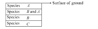 Speciation