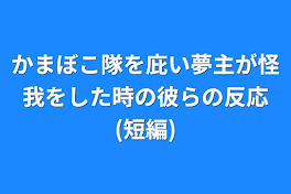 かまぼこ隊を庇い夢主が怪我をした時の彼らの反応(短編)