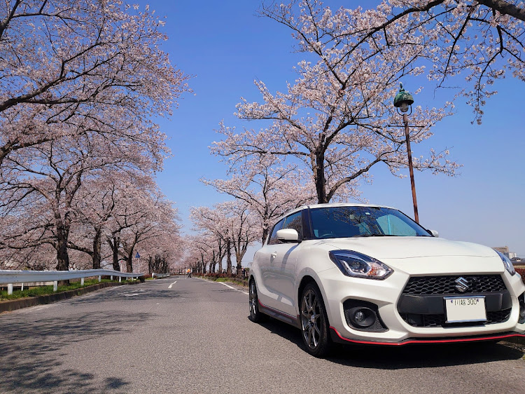 スイフトスポーツの桜コラボ・伊佐沼・スマホ撮影・モンハンライズ・腕なまりすぎ💦に関するカスタム事例の投稿画像5枚目