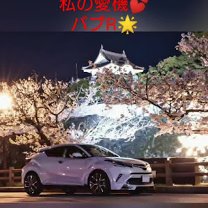 C-HR ZYX10