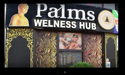 Palms Wellness Hub