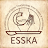 ESSKA 2024 icon