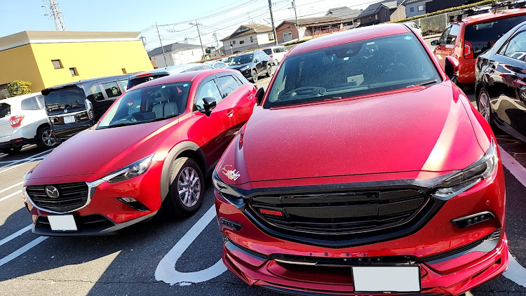 CX-8のCX3XCX8・シャイロックの子供たち・映画👫💓デート・TOMO&TOMSソフト🍦・車汚い🐆柄に関するカスタム事例の投稿画像1枚目