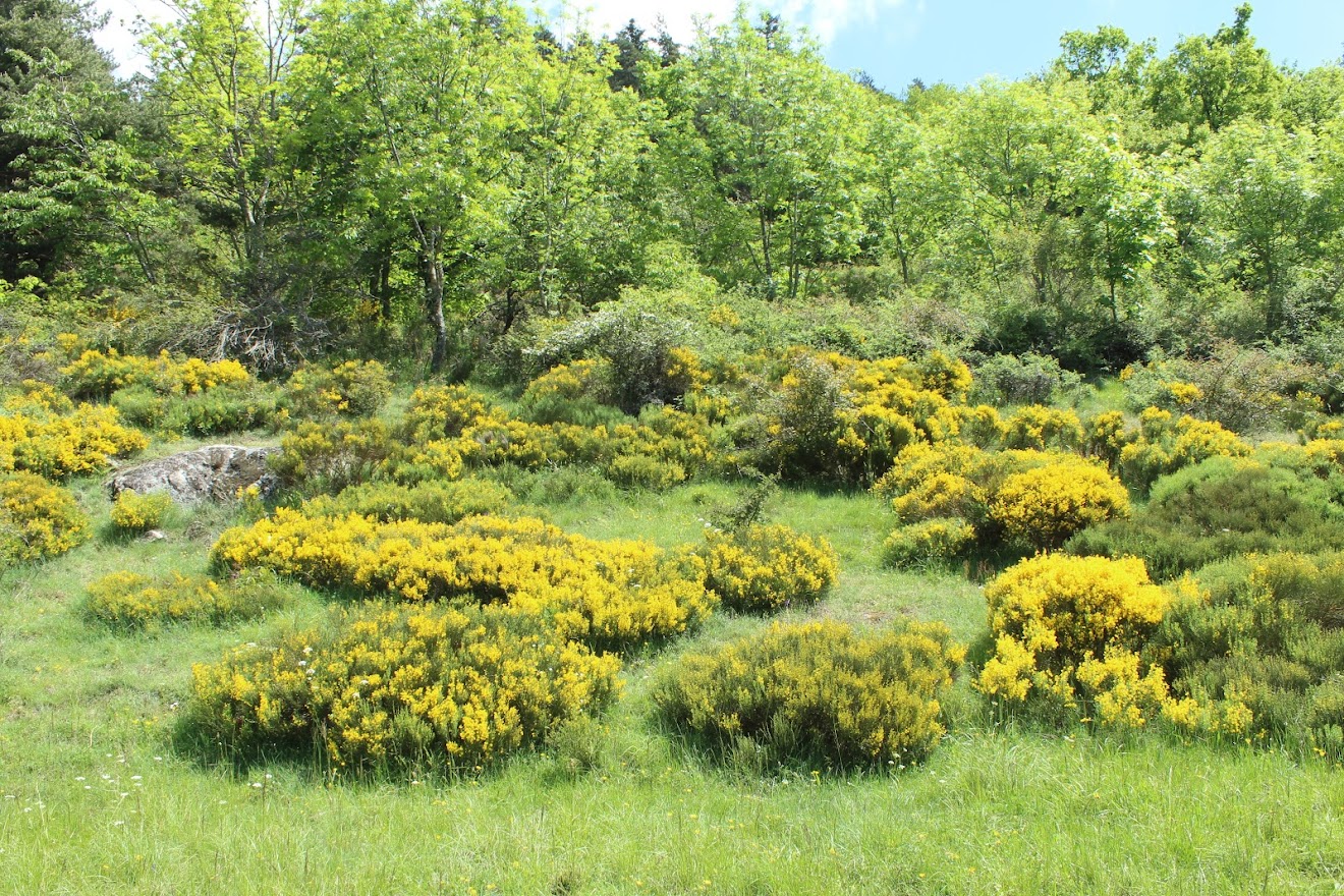 Désaignes, Le sentier des Vignes FnrUqov6xHMRlEDfRodqCHMPaarj5IzZs4heqwB5Cxlk2J61PzDXAVbaKUGoKf_iEv58jORzEZjYxrOI7qIo8RMO2Dba10wWxPUmHEcUC_M-32MsF7xCORgYlsFdZfkWVRiM9MpiPcYWli_YSK6e86xb9OuSScjZa4lCQAbX2EaZBLaYupj6nAusrC8ksIXCpczGHrp2D-o6l00H3YjwVgFz_giDnPeptMoUW4JzCYsUcpV6ynmAtJBmG5Xnuis3ysgV2VJ0B2-Pw0J8-sC5uwDvpX0EA7X0D0tC4lFiUGrWrmdrDhT7ftZLsQ2IefDRw3gIBGqE07_9KtwUp822hdDDU8jpzWRwa9NtFYhBCyof4AmBr4hQd2D_2RyJASxUl6FgOXVYyHB_7sAHMP3K-hNGrWCrJazv6IJgnkG04tdhOc7iyWJOg6iaOkp39KrAoLXbX5ItoCbE2nzWyqF0-8eyGX-6Lnr-MkvOn90vceh3GeeAWwQc_Dkc50zdh8h849rrexBvxIFSjPQR3o1zmehtwUjCvsgRcwTSs96nBmaoRLSboW9EYINSRhUvlPqU3fhm2Go_AtfKmA9FjX8U1onuqD2n-nNP=w1320-h880-no