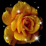 Cover Image of Herunterladen Rose Live Wallpaper 2.4 APK