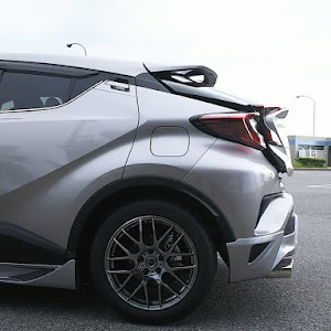 C-HR ZYX10