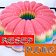 Kumpulan Resep Puding Spesial icon