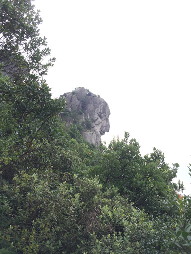Rock of Lion Head 