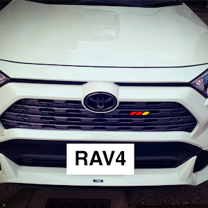 RAV4 MXAA54