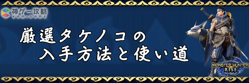 厳選タケノコ