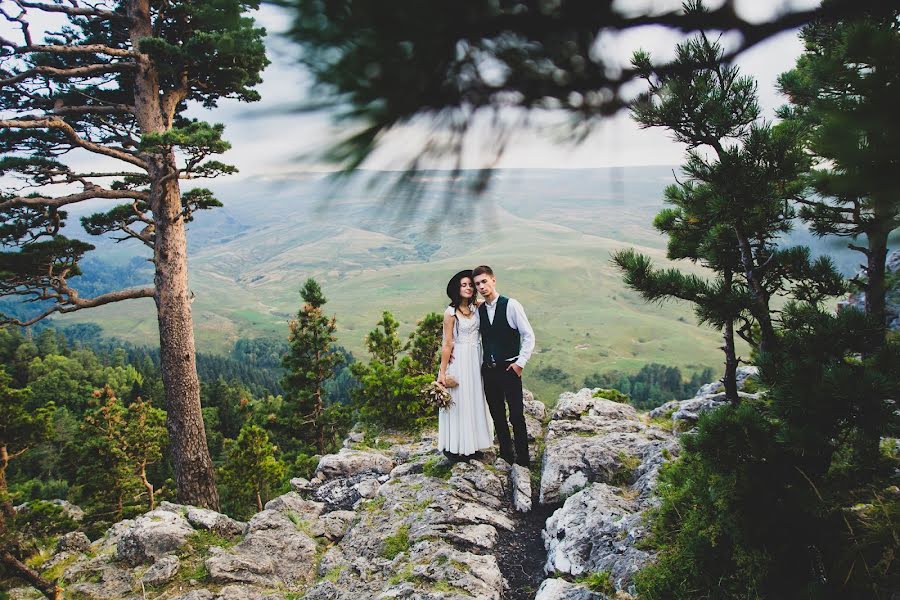 Fotógrafo de casamento Dmitriy Cherkasov (wedprof). Foto de 15 de janeiro 2019