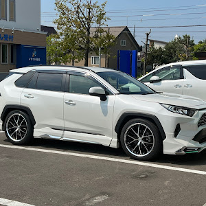 RAV4 MXAA54